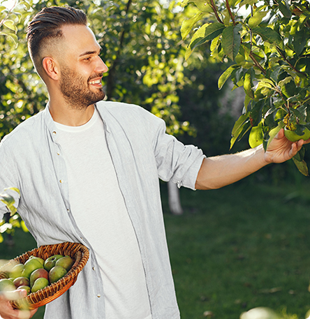 Apple Picker
